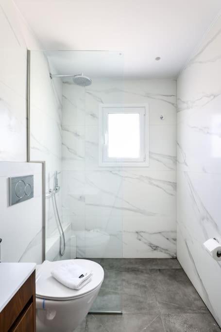 Blue Delta Apartment Palaio Faliro 아테네 외부 사진